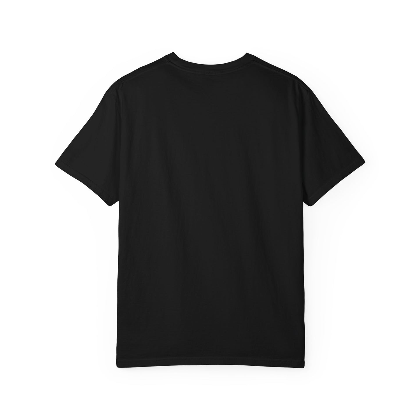 Fun Party T-Shirt, Humor Tee, Unisex Shirt, Celebratory Apparel, Gift for Friends, Birthday Party Shirt